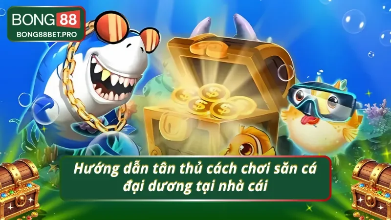 Quy trình cơ bản luôn xuất hiện trong bắn cá đại dương