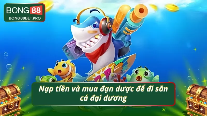 Giai đoạn đầu tiên khi muốn tham gia săn cá đại dương