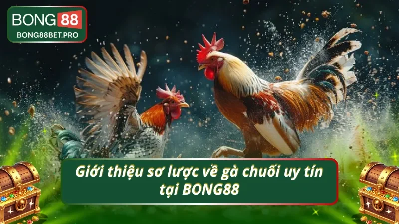 Tìm hiểu sơ lược về gà chuối