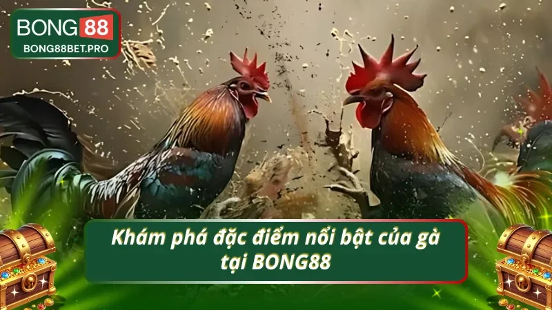 Các ưu điểm đặc biệt của loại gà tại BONG88